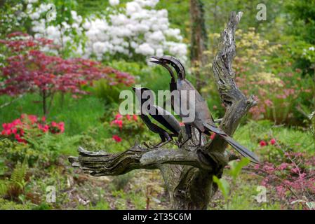 Paio di magpie di metallo su un albero morto dello scultore Helen Denerley nell'Himalayan Garden & Sculpture Park, North Yorkshire, Inghilterra, Regno Unito. Foto Stock