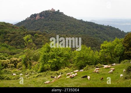 SULLE ORME DI ANTONIO GANDI IN CATALOGNA Foto Stock