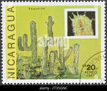 Francobollo cancellato stampato dal Nicaragua, che mostra Saguaros, circa 1987. Foto Stock