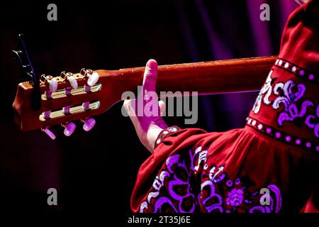 Immagine della mano di una donna sul collo di una chitarra a sei corde Foto Stock