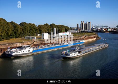 Nave da carico liquida Blue Renee presso la stazione di bunkeraggio da terra a nave per il gas naturale liquefatto (GNL) nel porto del Reno nel distretto urbano di Niehl, C Foto Stock