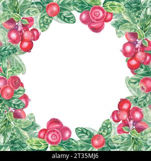 Cornice con mirtillo rosso, mirtillo rosso dipinto a mano, mirtillo rosso, mirtillo rosso e foglie. Illustrazione botanica ad acquerello elemento isolato su sfondo bianco. Arte Foto Stock