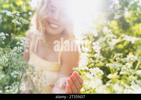 Bella donna che raccoglie fiori nella foresta retroilluminati dalla luce del sole Foto Stock