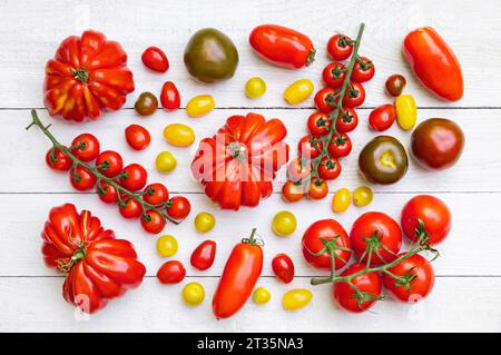 Diverse varietà di pomodori maturi appoggiati su una superficie di legno bianco Foto Stock