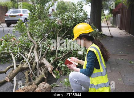 Operaio di colletti blu accovacciato vicino all'albero caduto sul sentiero Foto Stock