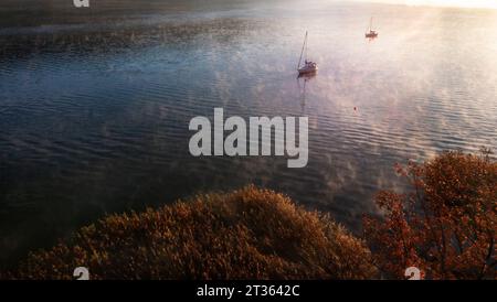 Austria, alta Austria, vista droni sulle barche a vela nel lago Mondsee all'alba nebbia Foto Stock