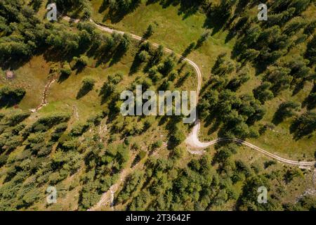 Austria, Salzburger Land, vista droni della strada sterrata che si estende attraverso il bosco di conifere in estate Foto Stock