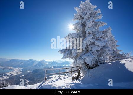 Austria, Salzburger Land, Saint Gilgen, Bench sulla cima innevata del monte Zwolferhorn Foto Stock