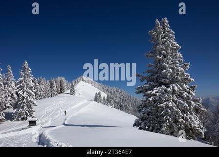 Austria, Salzburger Land, Saint Gilgen, cima innevata del monte Zwolferhorn Foto Stock
