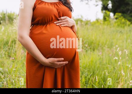 Donna incinta con le mani sullo stomaco in posizione erbosa Foto Stock