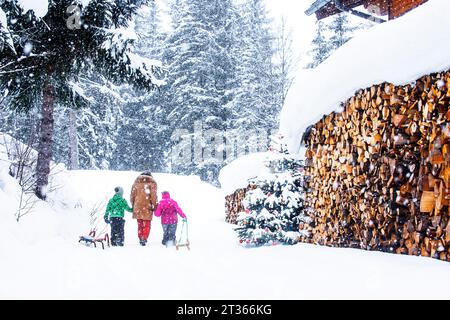 Donna anziana che si tiene per mano e cammina con bambini che tirano la slitta sulla neve Foto Stock