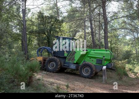 Meyreuil, Francia, 21 ottobre 2023. Mulcher forestale nella lussureggiante foresta provenzale, nel sud della Francia Foto Stock