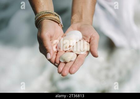 Donna che tiene le conchiglie in mano in spiaggia Foto Stock