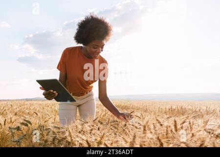 Giovane agronomo afro sorridente che tiene un tablet PC che esamina l'orzo sul campo Foto Stock