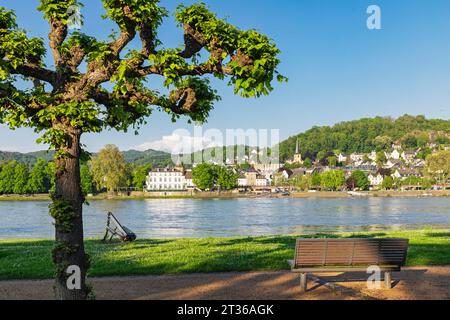 Germania, Renania-Palatinato, Remagen, vista della città sulla riva del fiume Reno in estate Foto Stock