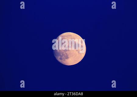Luna piena contro cielo limpido al crepuscolo Foto Stock