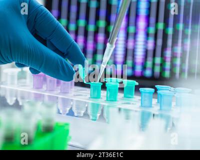 Scienziato che pipetta il campione di DNA nella provetta eppendorf Foto Stock