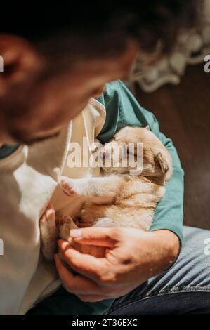 Carino cucciolo che dorme tra le braccia dell'uomo a casa Foto Stock