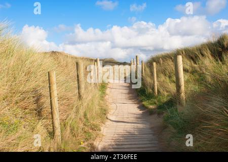 Camminata in legno che consente l'accesso alla spiaggia ma protegge le dune e l'erba di marrino - John Gollop Foto Stock