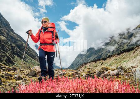 Donna con occhiali da sole con zaino e bastoncini da trekking vestita di giacca softshell rossa Calluna heather rosa piante durante il trekking i del Parco Nazionale Makalu Barun Foto Stock