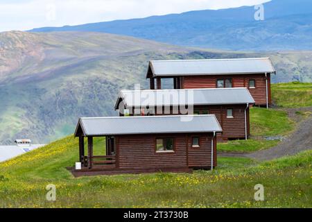 Interessante schiera di capanne in legno in Islanda, fiori selvatici e montagne Foto Stock