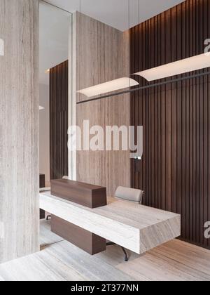 Ricevimento all'ingresso. Mount Row Apartments, Londra, Regno Unito. Architetto: Studio Mackereth, 2023. Foto Stock