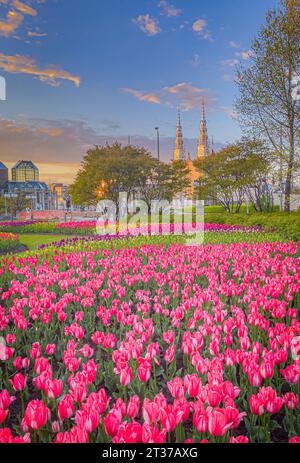 Canadian Tulip Festival presso Major's Hill Park, Cathedral, Ottawa, Ontario, Canada Foto Stock