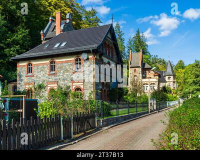 Villaggio di Treseburg nella valle Bodetal, catena montuosa di Harz, Sachsen-Anhalt, Germania Foto Stock