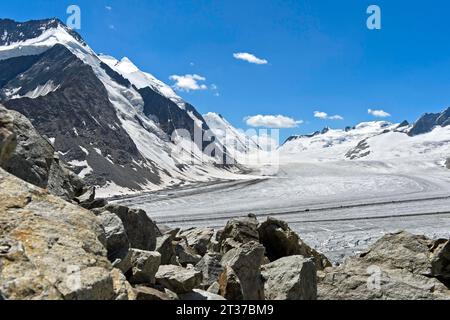 Vista dal ghiacciaio Konkordiaplatz sul Grosser Aletschfirn fino al passo di Loetschenluecke, all'area di Aletsch, a Grindelwald, Bernese Foto Stock