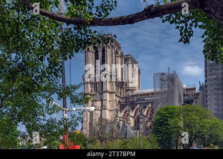 Notre Dame impalcata, ricostruita dopo l'incendio, Parigi, Francia Foto Stock