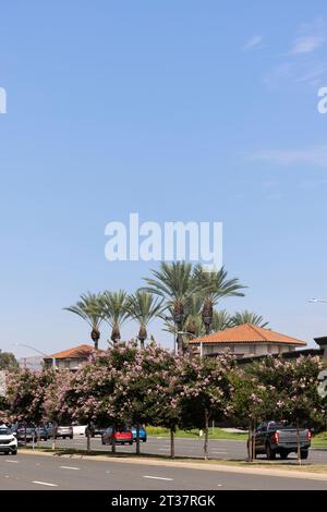 Vista pomeridiana incorniciata da palme del centro cittadino di la Habra, California, USA. Foto Stock