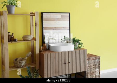 Lavello bianco con accessori per il bagno su cassetti, scaffalature e piante domestiche vicino a pareti colorate Foto Stock