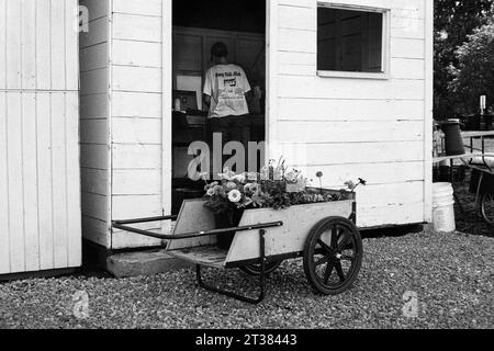 Codman Farm - Lincoln, Massachusetts 2023 - Un piccolo carrello di legno pieno di fiori freschi è parcheggiato di fronte al capannone con un lavoratore agricolo che lavora Foto Stock