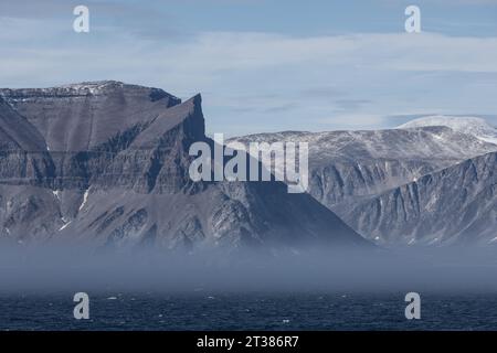 Walrus Skull sulla neve Foto Stock