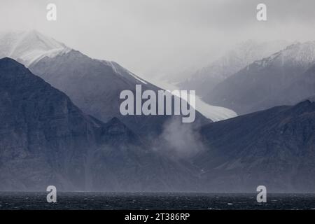 Walrus Skull sulla neve Foto Stock