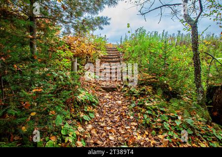 Vecchi gradini di legno su un sentiero pedonale nel Lake of the Falls County Park a Mercer, Wisconsin, orizzontalmente Foto Stock