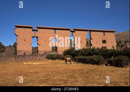 Parco archeologico "Wiracocha" nelle rovine di Raqchi Foto Stock
