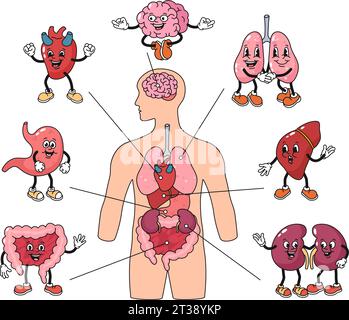 Cartoni animati organi del corpo umano mascotte. Poster dell'anatomia con set di illustrazioni vettoriali per cervello, polmoni e cuore Illustrazione Vettoriale