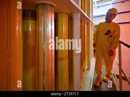 Stoccaggio di combustibile fresco con barre di combustibile di nuova generazione con il contrassegno PK3 (in primo piano) con il cosiddetto involucro aperto, che verrà alimentato nel reattore per la prima volta durante la chiusura pianificata della centrale nucleare di Dukovany dell'unità 4, collegata alla sostituzione e alla manutenzione del combustibile e che dovrebbe durare fino alla fine dell'anno, Dukovany, distretto di Trebic, regione di Vysocina, nella foto del 23 ottobre 2023. Questa è l'ultima interruzione di Dukovany quest'anno. Le restanti tre unità continuano a funzionare. Sulla destra, l'operaio del magazzino Pavel Krcal. (Foto CTK/Lubos Pavlicek) Foto Stock