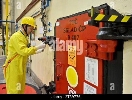 Stoccaggio di combustibile fresco con barre di combustibile PK3 di nuova generazione con il cosiddetto involucro aperto, che verrà caricato nel reattore per la prima volta durante la chiusura programmata dell'unità 4 della centrale nucleare di Dukovany, collegata alla sostituzione e alla manutenzione del combustibile e che dovrebbe durare fino alla fine dell'anno, Dukovany, distretto di Trebic, regione di Vysocina, nella foto del 23 ottobre 2023. Questa è l'ultima interruzione di Dukovany quest'anno. Le restanti tre unità continuano a funzionare. A sinistra, Pavel Krcal apre il magazzino. (Foto CTK/Lubos Pavlicek) Foto Stock