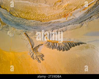 Rappresentazione aerea di paesaggi desertici contrastanti con canali d'acqua tortuosi che si intagliano su terreni sabbiosi, rivelando modelli accattivanti Foto Stock