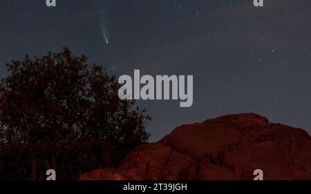 Foto della cometa Neoswise ripresa dal vertice di Feldberg in Germania il 23. 2020 luglio dopo il tramonto Foto Stock