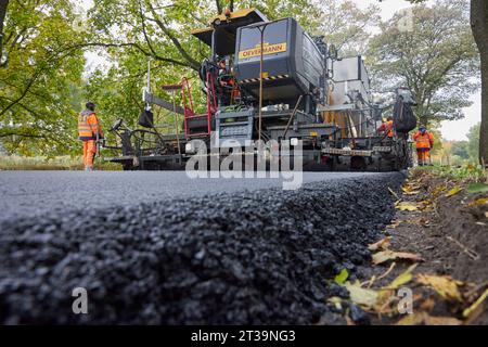 24 ottobre 2023, Brandeburgo, Schönow: La strada statale L 30 tra Schönow e Gorinsee (Barnim) è in fase di rinnovo con il metodo compatto dell'asfalto. Questo metodo, in cui vengono applicati contemporaneamente il legante per asfalto e la superficie dell'asfalto, consente di risparmiare tempo ed è anche più duraturo. Foto: Joerg Carstensen/dpa Foto Stock