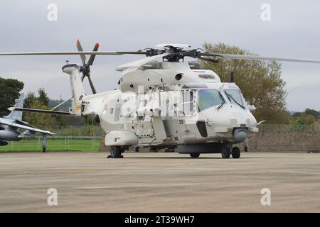 NH 90 , 1319, Marine Luchtvaartdeinst, RNAS Yeovilton, Somerset. Foto Stock