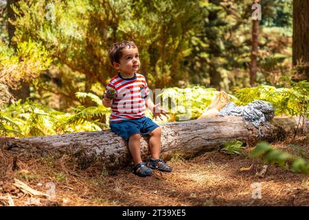 Porträt eines Jungen, der auf einem Baum in der Natur neben Pinienbäumen sitzt, Madeira. Portogallo Foto Stock