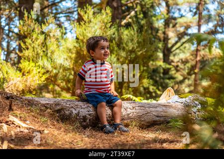 Porträt eines Jungen, der auf einem Baum in der Natur sitzt, neben Kiefern im Herbst, Madeira. Portogallo Foto Stock