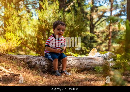 Porträt eines Jungen, der auf einem Baum in der Natur neben Kiefern sitzt und lächelt, Madeira. Portogallo Foto Stock