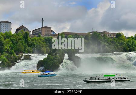 Vista delle cascate del Reno (Rheinfalls), la cascata più grande d'Europa Foto Stock