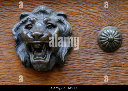 Accessori per porte, applicazioni metalliche sotto forma di testa di leone e manopole su legno. Foto Stock