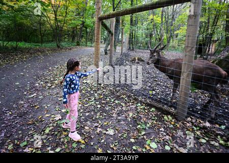 la bambina nutre un cervo nello zoo in una calda giornata autunnale. Foto Stock